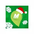 Монетка