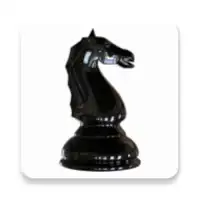 World Chess Championship