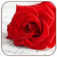 Romantic Love Pics