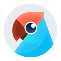 Youdao Translate